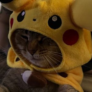 Meet your Posher, Christopher